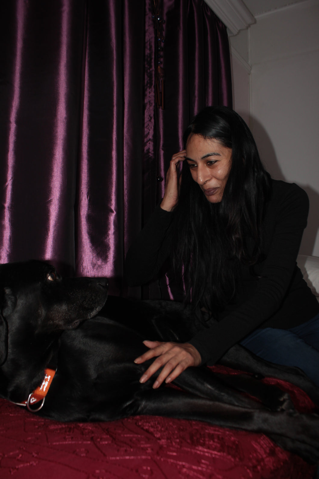 Reiki Treatments For Household Pets